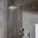 Raindance E 300 Верхній душ, з тримачем 26238000 фото 3