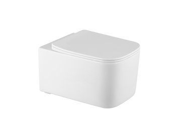 CAROL rimless унітаз підвісний, сидіння duroplast 1323.001000 фото